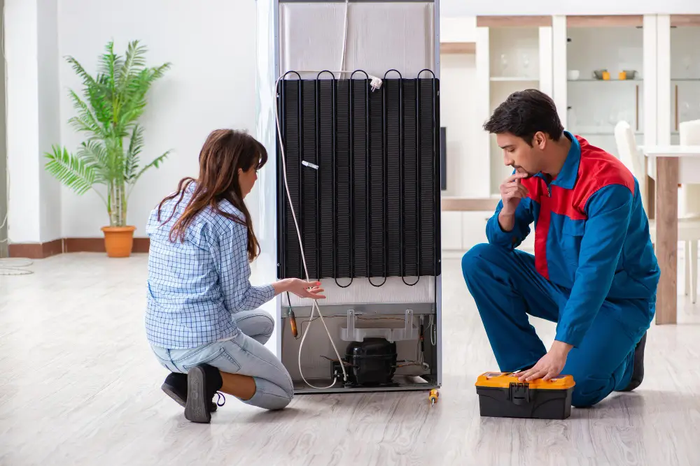 Refrigerator repair services
